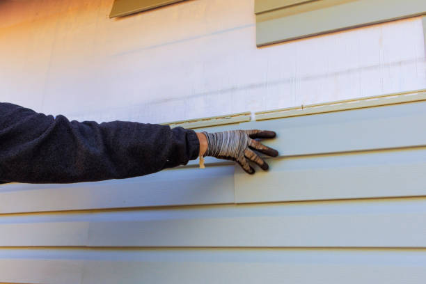 Best Steel Siding Installation  in Grizzly Flats, CA